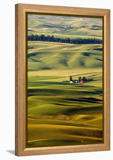 Palouse #27-Dale O’Dell-Framed Premier Image Canvas