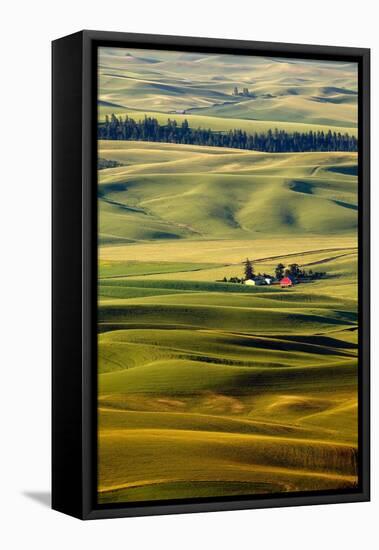 Palouse #27-Dale O’Dell-Framed Premier Image Canvas