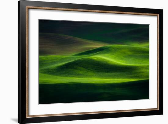 Palouse 3-Ursula Abresch-Framed Photographic Print