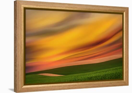 Palouse Abstract 2-Ursula Abresch-Framed Premier Image Canvas