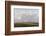 Palouse Afternoon-Todd Telander-Framed Art Print