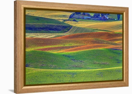 Palouse Area of Eastern Washington, USA-Stuart Westmorland-Framed Premier Image Canvas