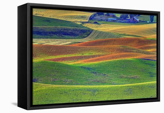 Palouse Area of Eastern Washington, USA-Stuart Westmorland-Framed Premier Image Canvas