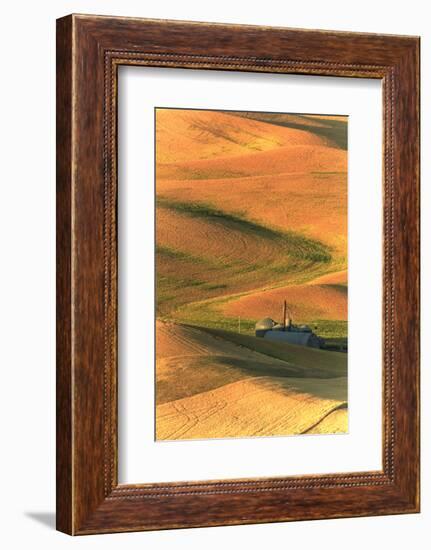 Palouse Area of Eastern Washington, USA-Stuart Westmorland-Framed Photographic Print