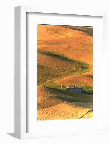 Palouse Area of Eastern Washington, USA-Stuart Westmorland-Framed Photographic Print
