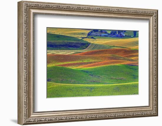 Palouse Area of Eastern Washington, USA-Stuart Westmorland-Framed Photographic Print