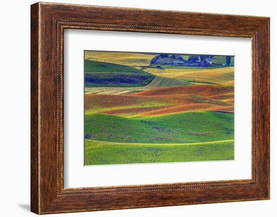 Palouse Area of Eastern Washington, USA-Stuart Westmorland-Framed Photographic Print