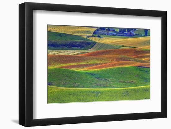 Palouse Area of Eastern Washington, USA-Stuart Westmorland-Framed Photographic Print