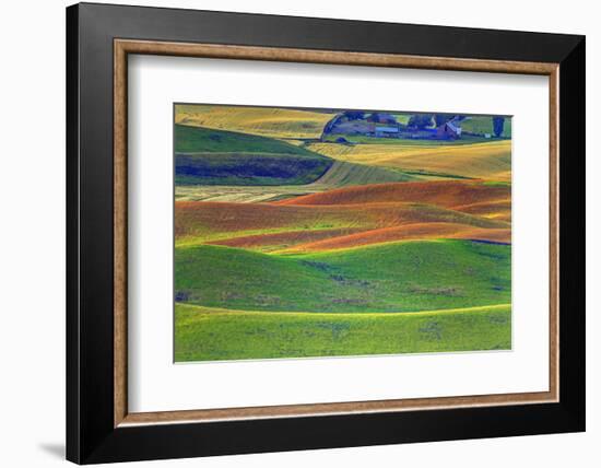 Palouse Area of Eastern Washington, USA-Stuart Westmorland-Framed Photographic Print