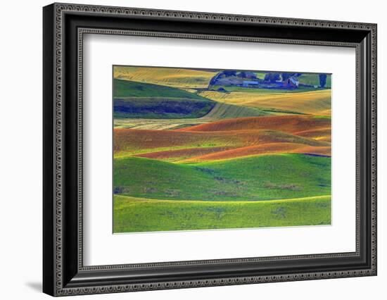 Palouse Area of Eastern Washington, USA-Stuart Westmorland-Framed Photographic Print