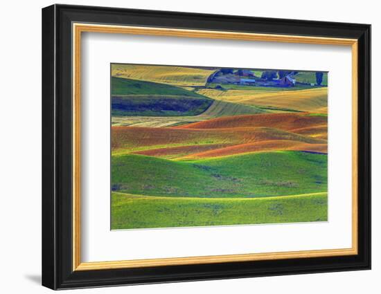 Palouse Area of Eastern Washington, USA-Stuart Westmorland-Framed Photographic Print