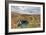 Palouse Falls, Palouse Falls State Park, Washington-Eric Middelkoop-Framed Photographic Print