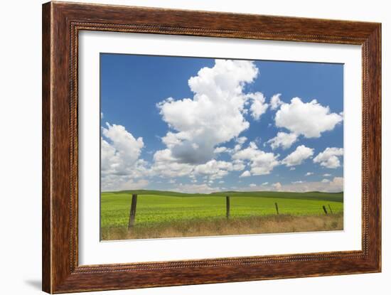 Palouse Farm I-Kathy Mahan-Framed Photographic Print