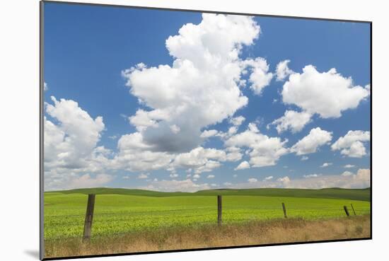 Palouse Farm I-Kathy Mahan-Mounted Photographic Print