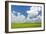 Palouse Farm II-Kathy Mahan-Framed Photographic Print