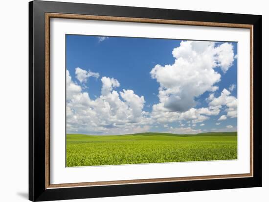 Palouse Farm II-Kathy Mahan-Framed Photographic Print