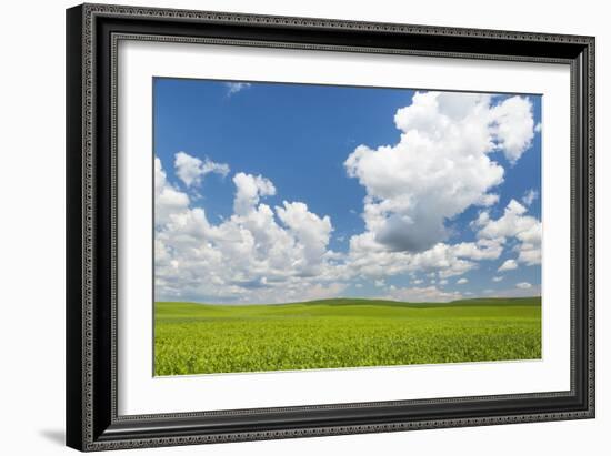 Palouse Farm II-Kathy Mahan-Framed Photographic Print