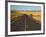 Palouse Farmland, Whitman County, Washington, USA-Jamie & Judy Wild-Framed Photographic Print