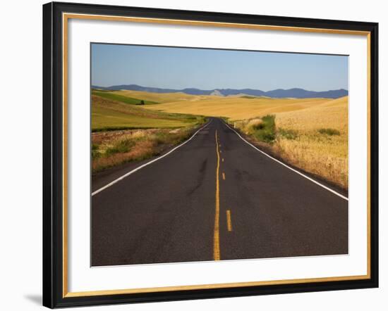 Palouse Farmland, Whitman County, Washington, USA-Jamie & Judy Wild-Framed Photographic Print