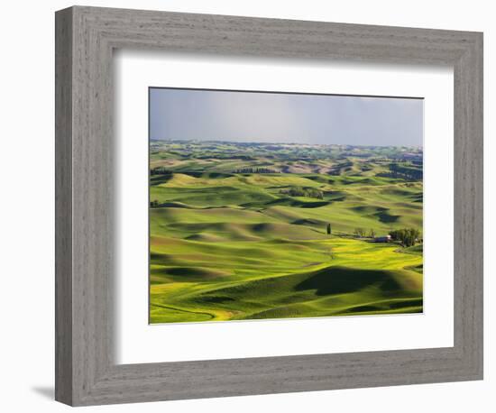 Palouse Farmland, Whitman County, Washington, USA-Jamie & Judy Wild-Framed Photographic Print