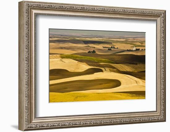 Palouse Fields, from Steptoe Butte, Steptoe Butte Sp, Washington-Michel Hersen-Framed Photographic Print