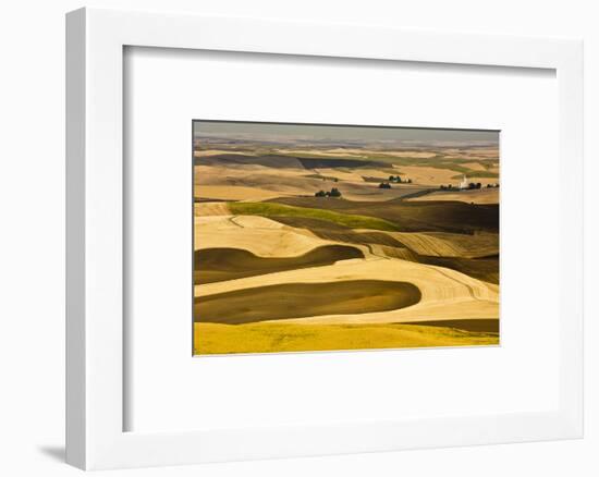 Palouse Fields, from Steptoe Butte, Steptoe Butte Sp, Washington-Michel Hersen-Framed Photographic Print