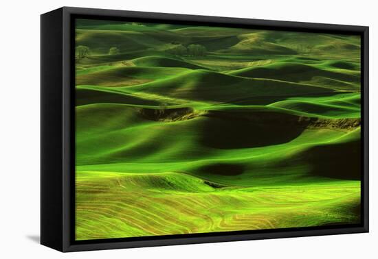 Palouse Green-Ike Leahy-Framed Stretched Canvas