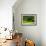 Palouse Green-Ike Leahy-Framed Photo displayed on a wall