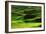 Palouse Green-Ike Leahy-Framed Photo