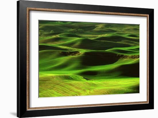 Palouse Green-Ike Leahy-Framed Photo