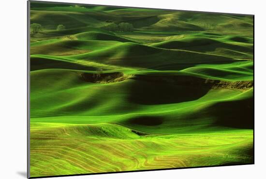 Palouse Green-Ike Leahy-Mounted Photo