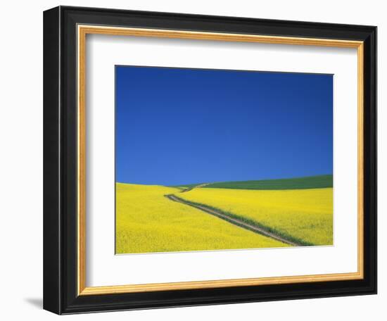 Palouse Hills in Growing Season-Terry Eggers-Framed Photographic Print