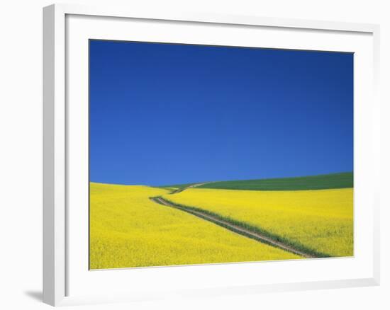 Palouse Hills in Growing Season-Terry Eggers-Framed Photographic Print