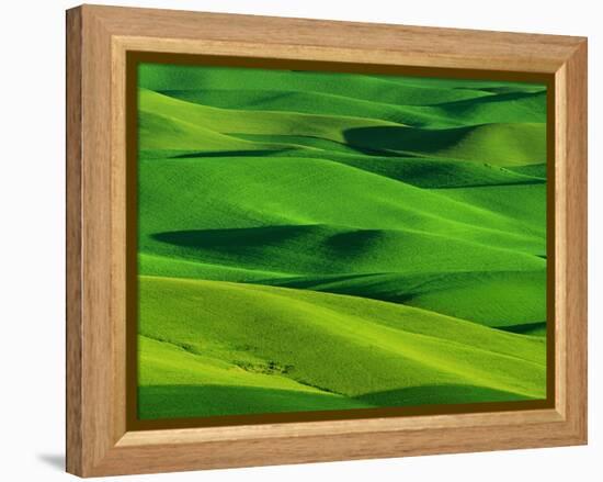 Palouse Hills-Darrell Gulin-Framed Premier Image Canvas