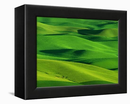 Palouse Hills-Darrell Gulin-Framed Premier Image Canvas