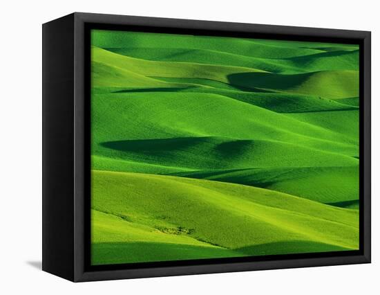 Palouse Hills-Darrell Gulin-Framed Premier Image Canvas