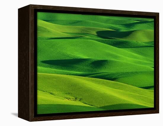 Palouse Hills-Darrell Gulin-Framed Premier Image Canvas