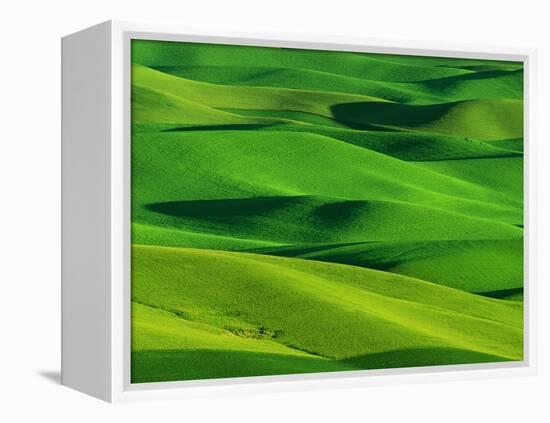 Palouse Hills-Darrell Gulin-Framed Premier Image Canvas