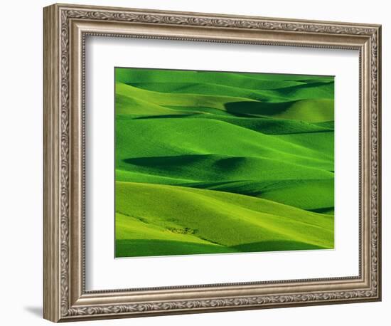 Palouse Hills-Darrell Gulin-Framed Photographic Print