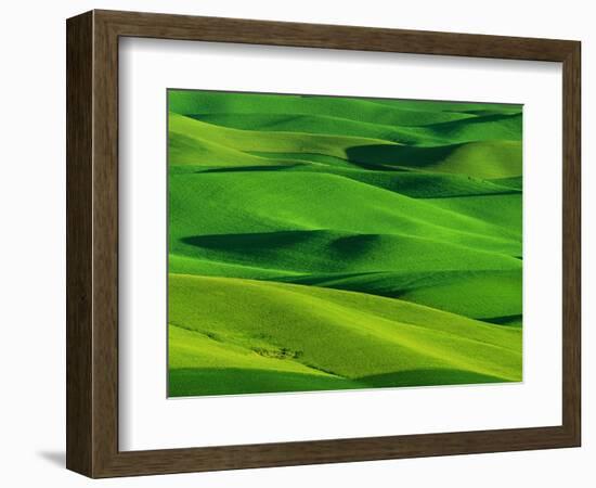 Palouse Hills-Darrell Gulin-Framed Photographic Print