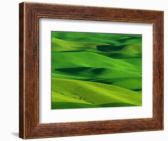 Palouse Hills-Darrell Gulin-Framed Photographic Print