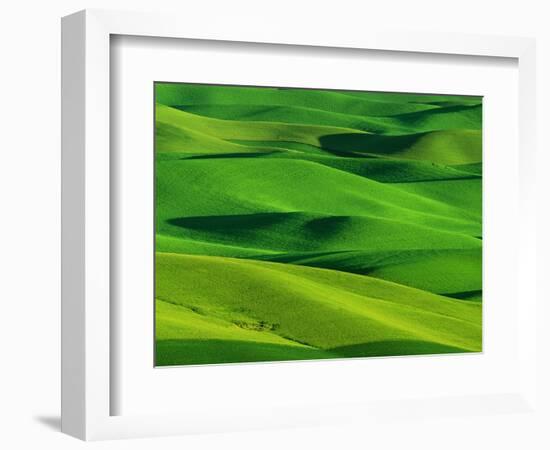 Palouse Hills-Darrell Gulin-Framed Photographic Print