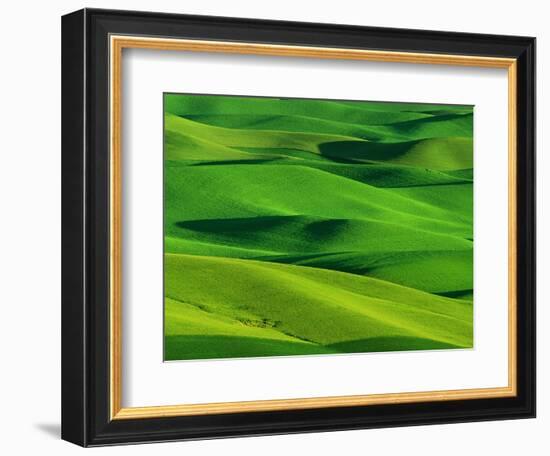 Palouse Hills-Darrell Gulin-Framed Photographic Print