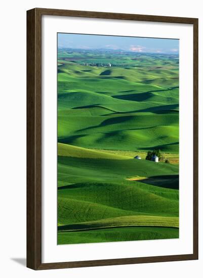 Palouse Hills-Darrell Gulin-Framed Photographic Print