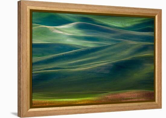 Palouse Hills-Ursula Abresch-Framed Premier Image Canvas