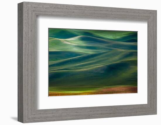 Palouse Hills-Ursula Abresch-Framed Photographic Print