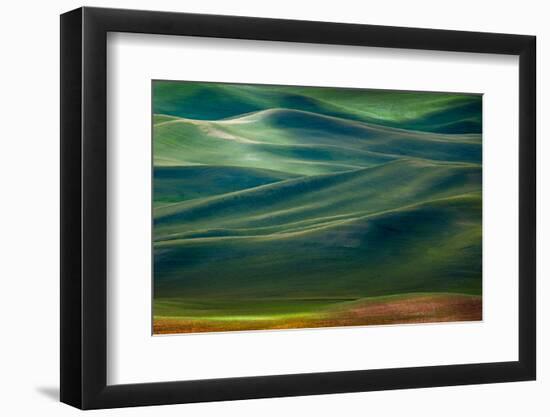 Palouse Hills-Ursula Abresch-Framed Photographic Print