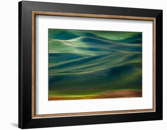 Palouse Hills-Ursula Abresch-Framed Photographic Print