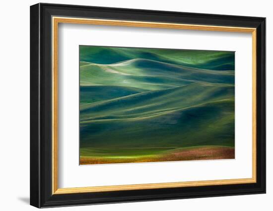 Palouse Hills-Ursula Abresch-Framed Photographic Print