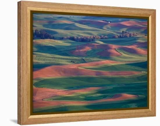 Palouse Region From Steptoe Butte, Whitman County, Washington, USA-Brent Bergherm-Framed Premier Image Canvas